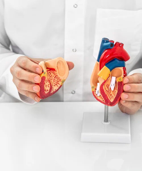 ¿Qué médico trata pericarditis?